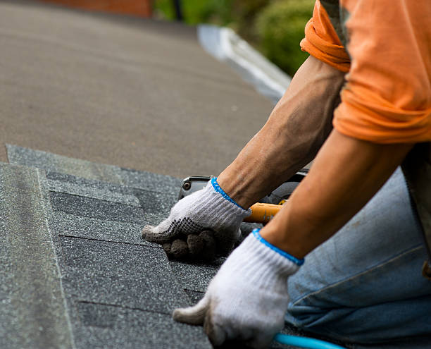Best Storm Damage Roof Repair  in Fairview Heights, IL